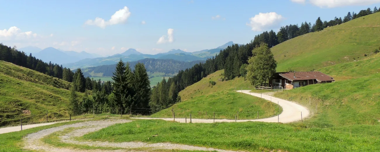 Grüne Almlandschaft mit Wanderweg und Hütte in den österreichischen Alpen