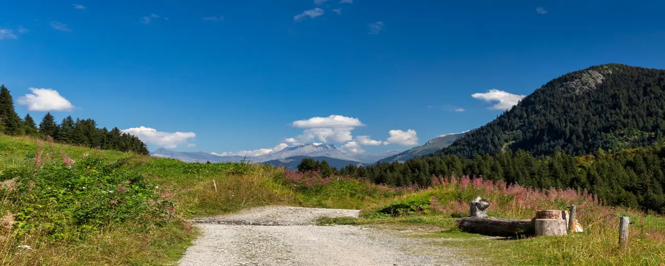 Alpiner Wanderweg in Österreich