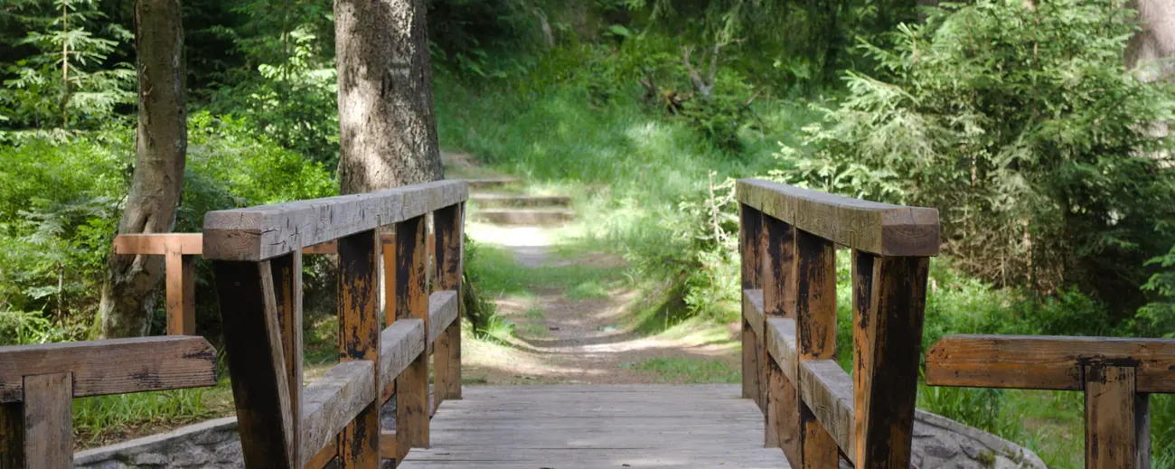 Historischer Pilgerweg in Europa