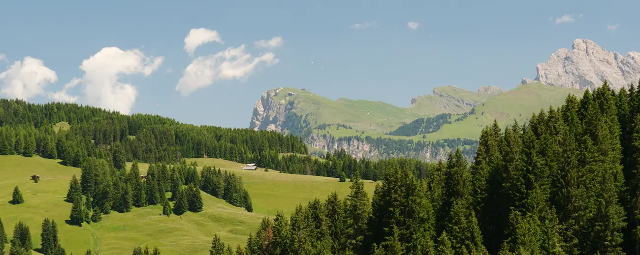Dolomiten-Almwiese mit Felstürmen in Italien