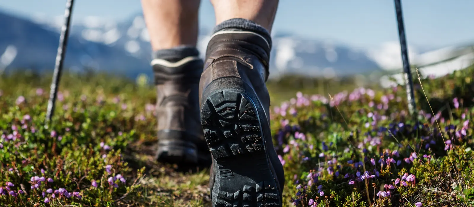 Wanderstiefel und Wanderstöcke auf einem blühenden Bergpfad