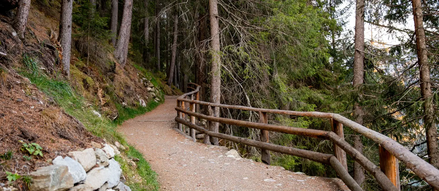 Easy-to-walk hiking path with a wooden railing through the forest