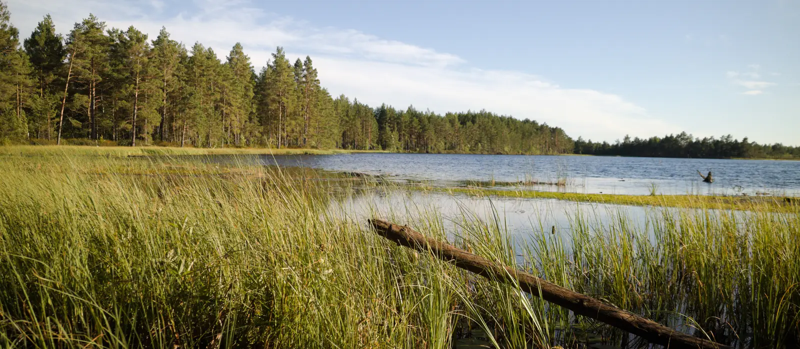 Quiet natural landscape