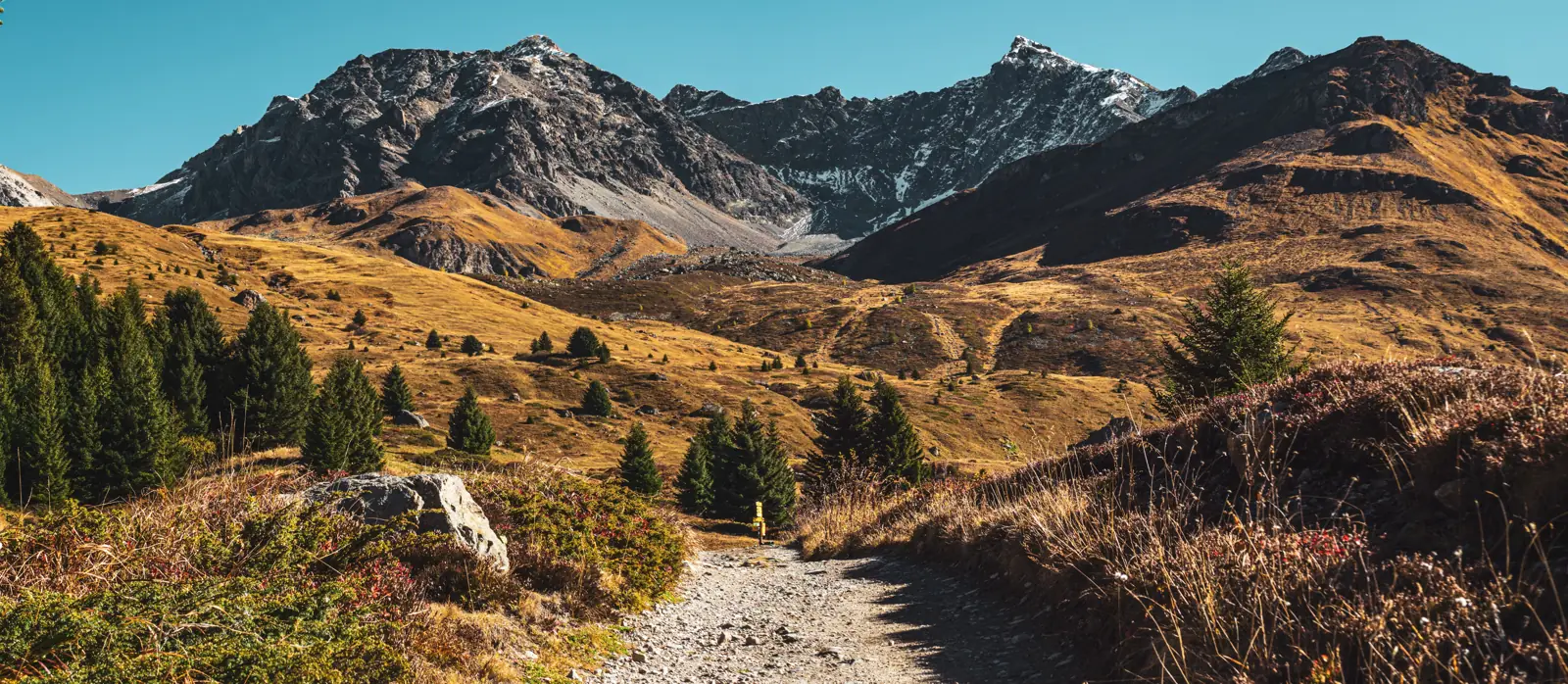 Alpine Berglandschaft in Österreich und der Schweiz
