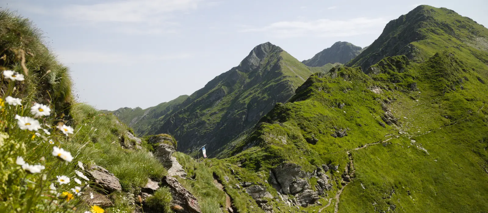 Grüne Berglandschaft mit Gipfeln
